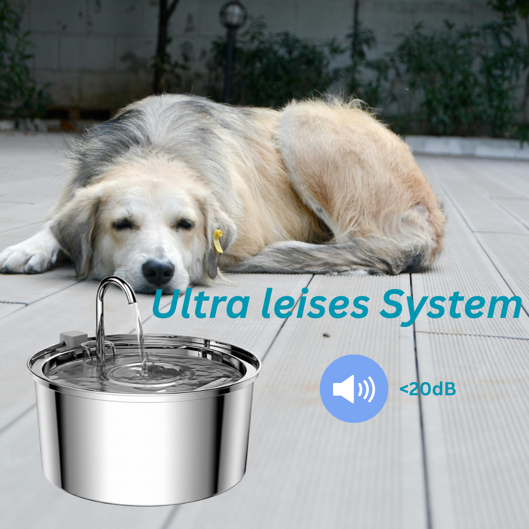 Premium Katzen Trinkbrunnen | Alleos