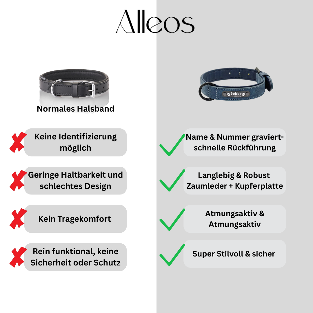 Namens-Halsband | Alleos